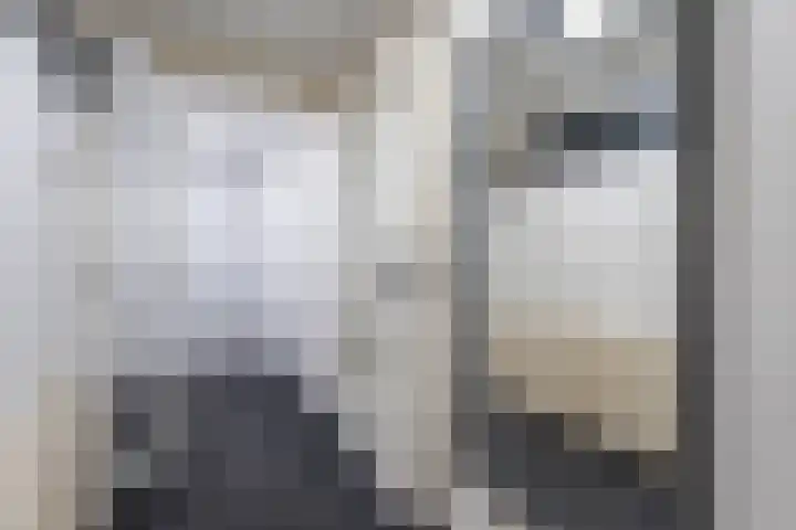 Kamillehof 46 Tilburg thumbnail 5