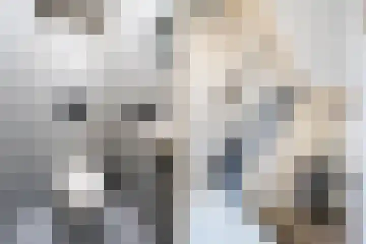 Kamillehof 46 Tilburg thumbnail 9