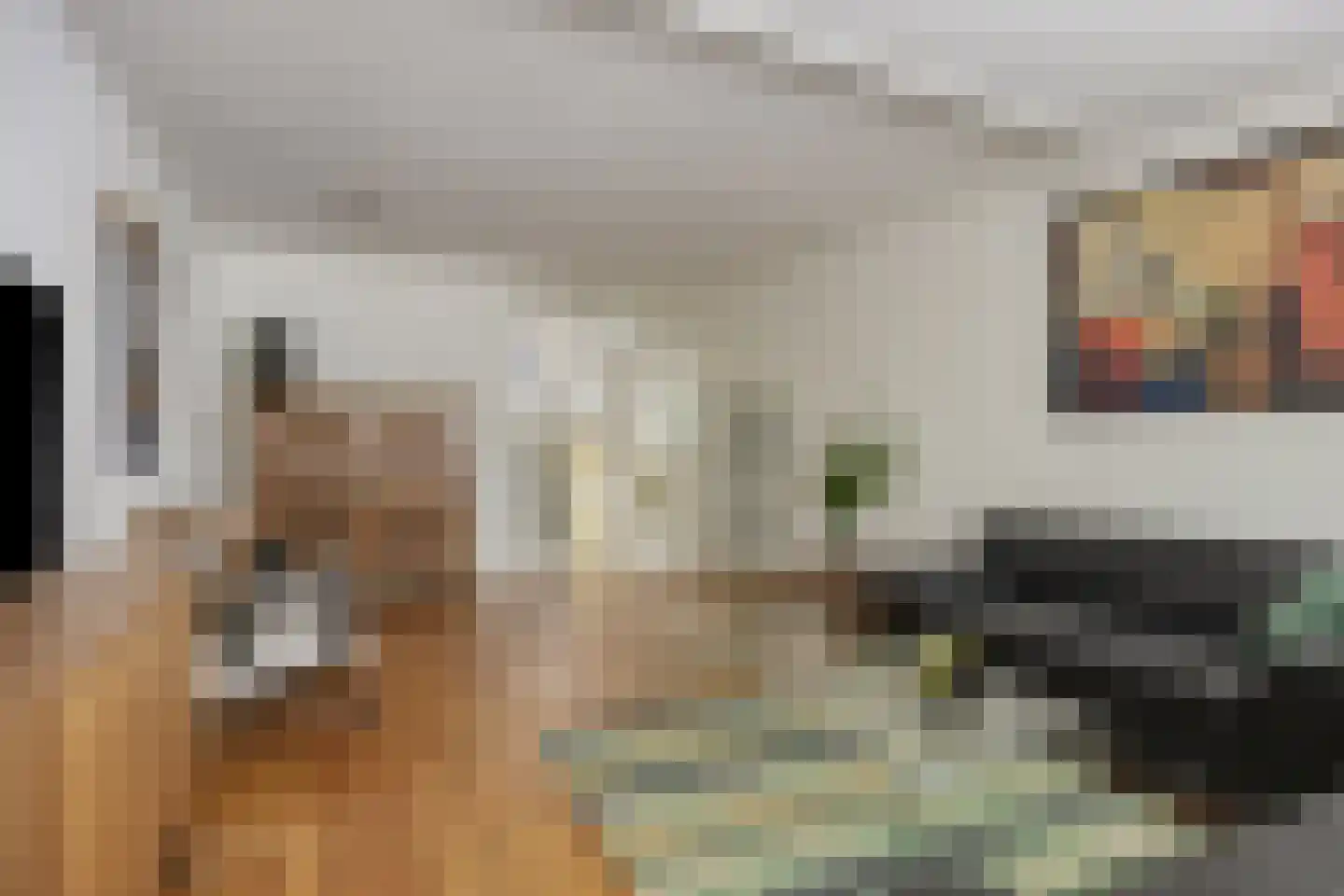 Kamillehof 50 Tilburg thumbnail 16