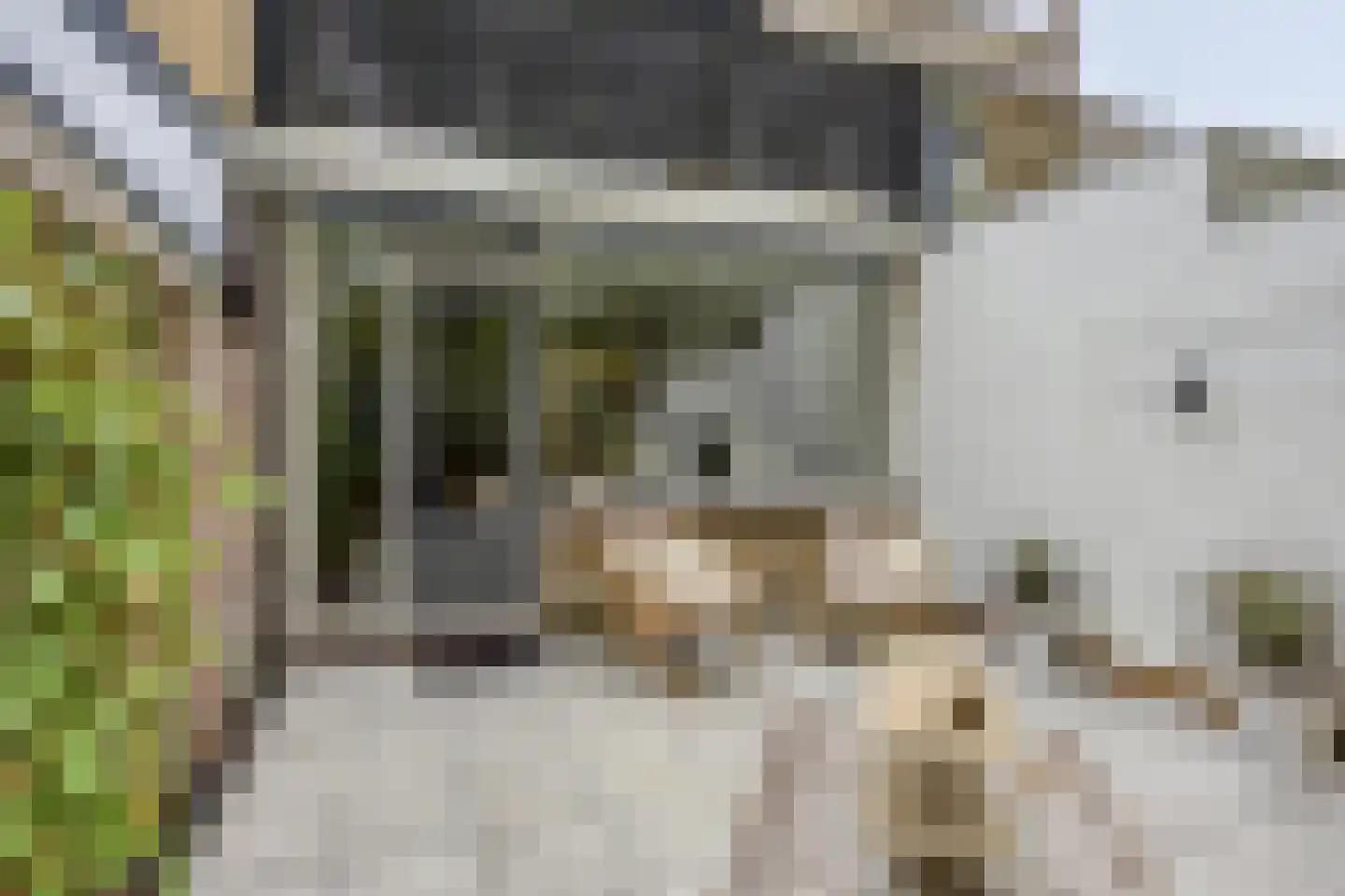 Kamillehof 50 Tilburg thumbnail 20