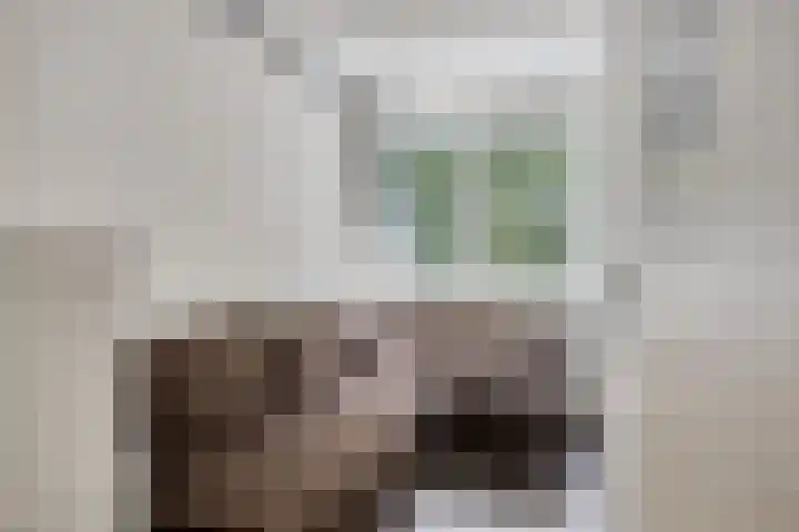 Kamillehof 57 Tilburg thumbnail 22