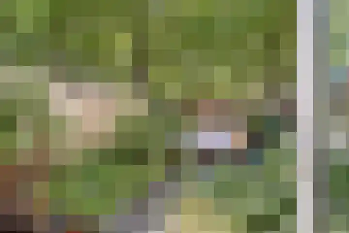 Kamillehof 57 Tilburg thumbnail 25