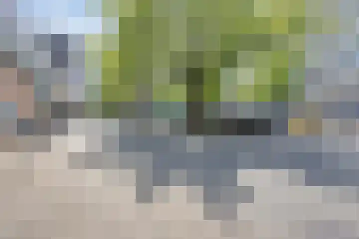 Kamillehof 57 Tilburg thumbnail 30
