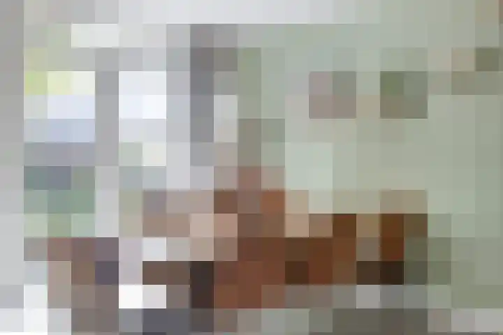 Kamillehof 57 Tilburg thumbnail 4