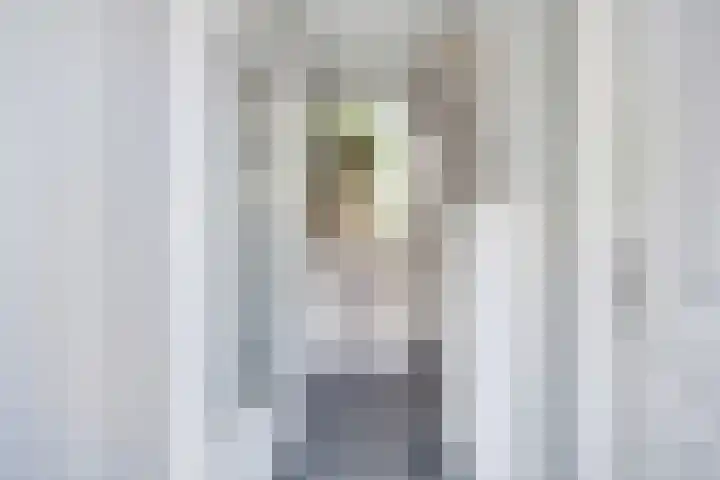 Kamillehof 57 Tilburg thumbnail 6