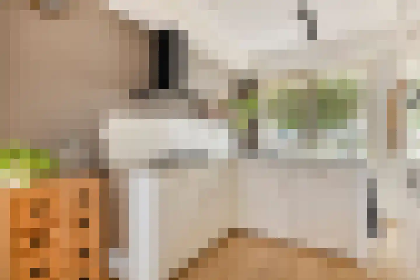 Kamillehof 6 Montfoort thumbnail 10