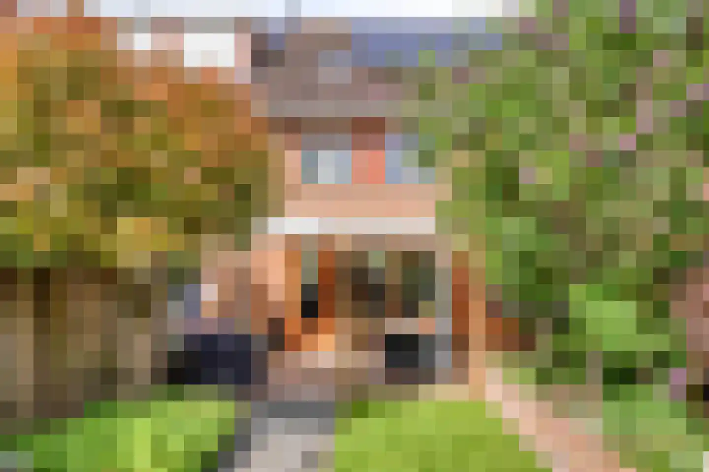 Kamillehof 6 Montfoort thumbnail 15