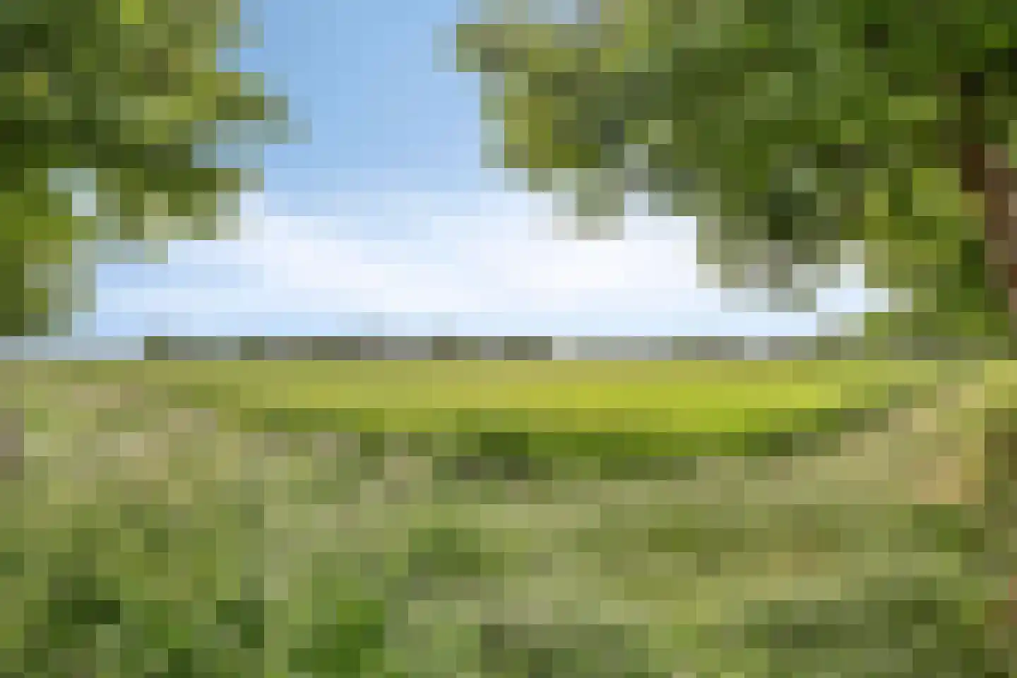 Kamillehof 6 Montfoort thumbnail 34
