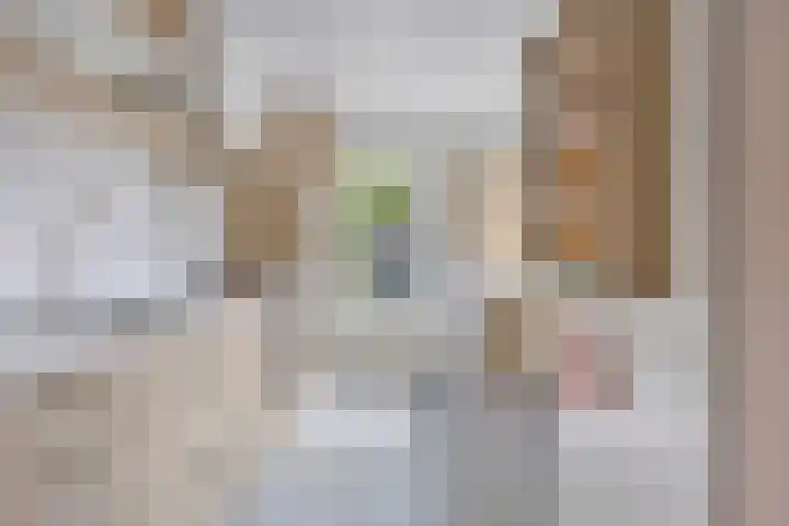 Kamillehof 7 Tilburg thumbnail 11