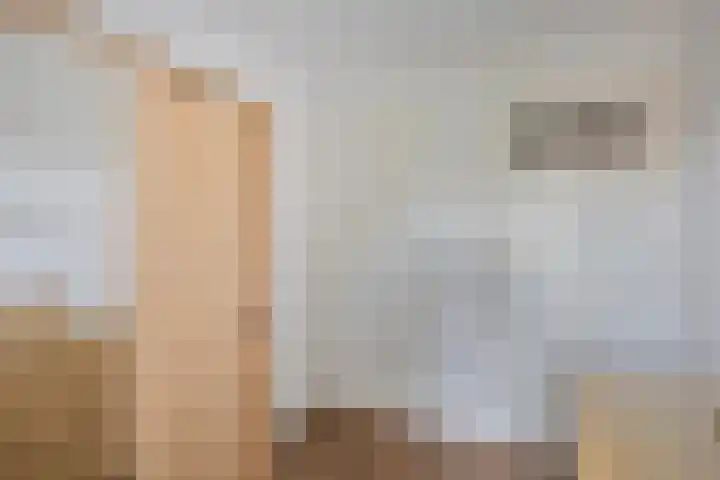 Kamillehof 7 Tilburg thumbnail 23