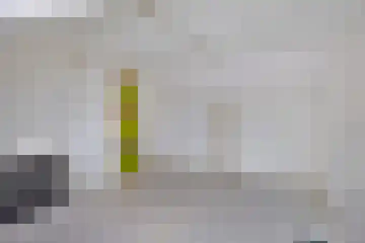 Kamillehof 7 Tilburg thumbnail 34