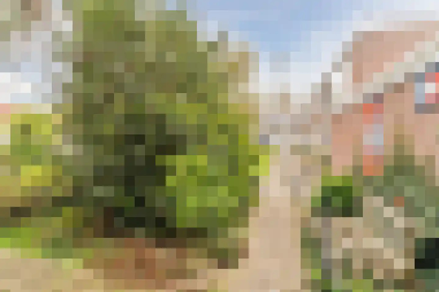 Kamillehof 80 Tilburg thumbnail 33