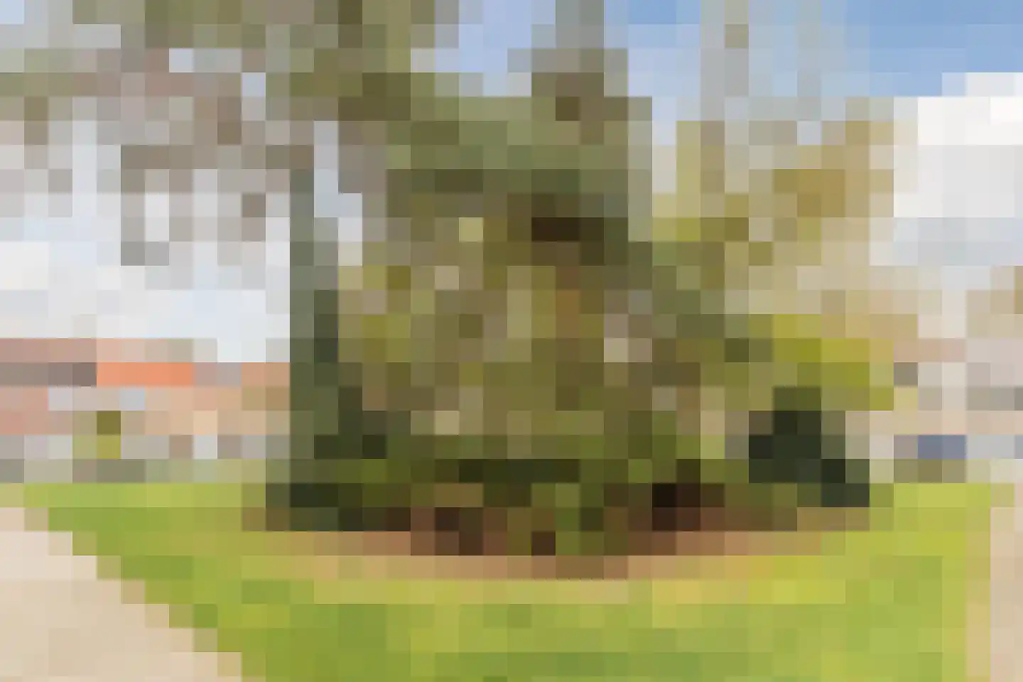 Kamillehof 80 Tilburg thumbnail 34