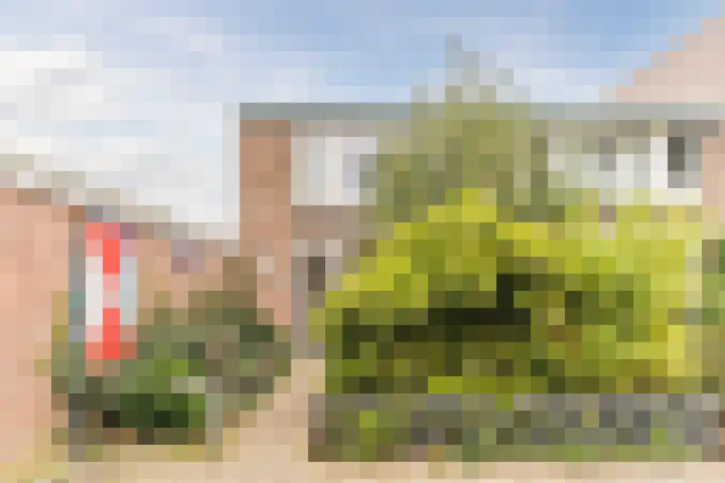 Kamillehof 80 Tilburg thumbnail 35