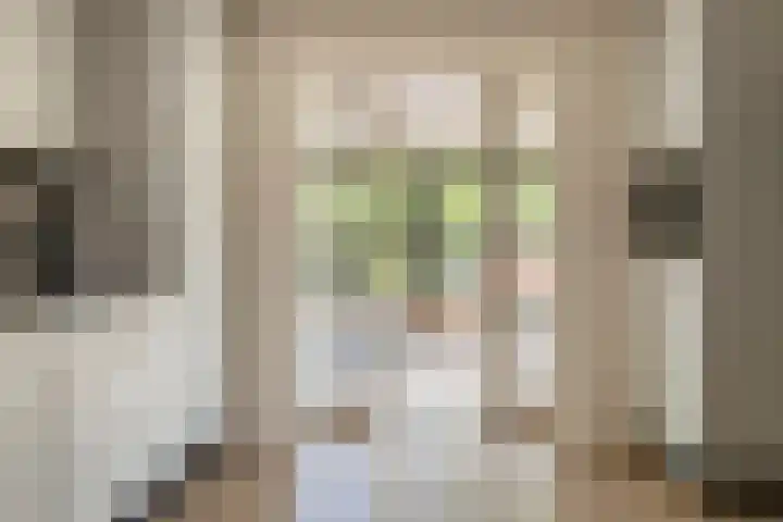 Kamillekamp 19 Eck en Wiel thumbnail 18