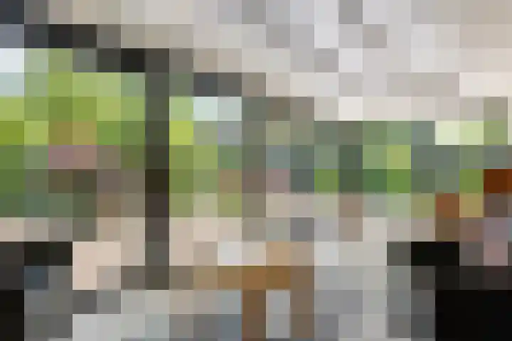 Kamillekamp 19 Eck en Wiel thumbnail 20
