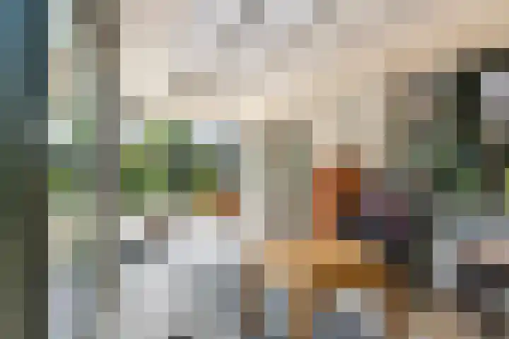 Kamillekamp 19 Eck en Wiel thumbnail 21