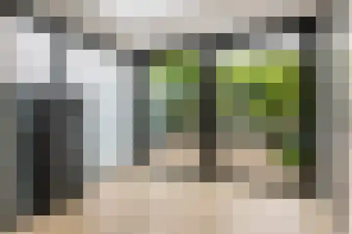 Kamillekamp 19 Eck en Wiel thumbnail 25