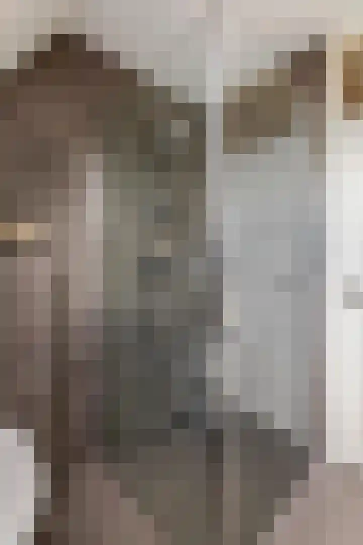 Kamillekamp 19 Eck en Wiel thumbnail 28