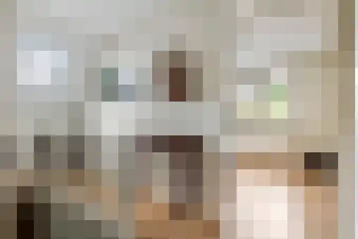 Kamillekamp 19 Eck en Wiel thumbnail 31