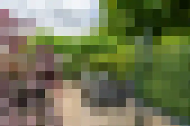 Kamillekamp 19 Eck en Wiel thumbnail 39