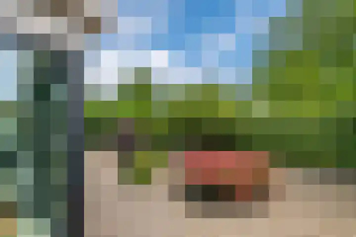 Kamillekamp 19 Eck en Wiel thumbnail 40