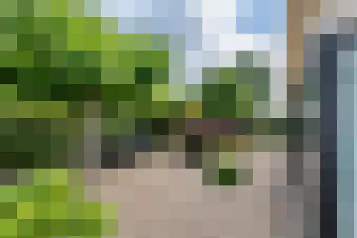 Kamillekamp 19 Eck en Wiel thumbnail 41