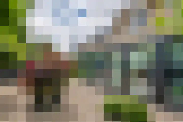 Kamillekamp 19 Eck en Wiel thumbnail 42