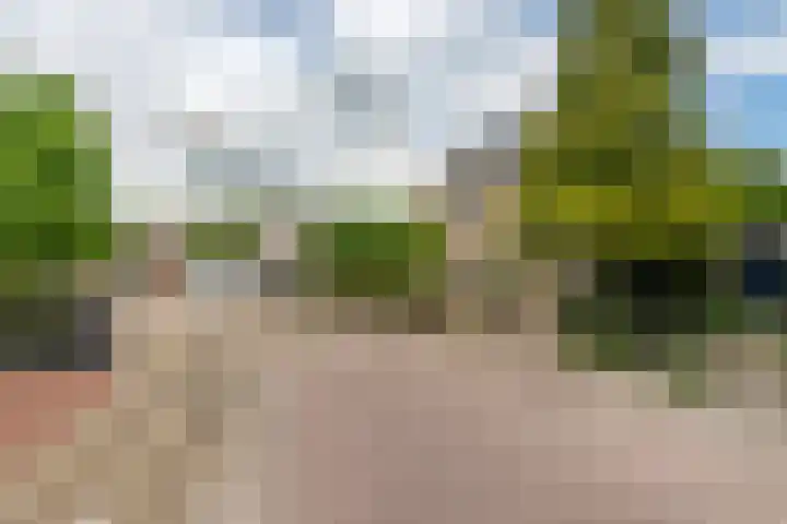 Kamillekamp 19 Eck en Wiel thumbnail 44