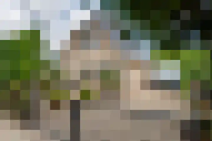 Kamillekamp 19 Eck en Wiel thumbnail 5