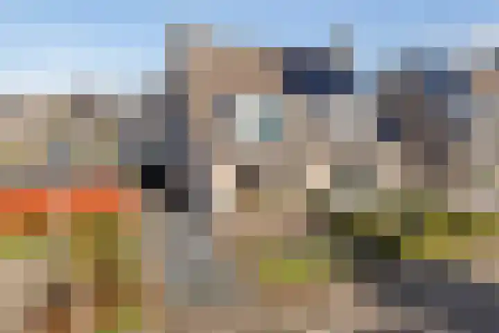 Kamillekamp 38 Eck en Wiel thumbnail 10