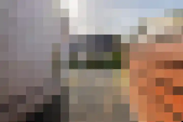 Kamillekamp 38 Eck en Wiel thumbnail 12