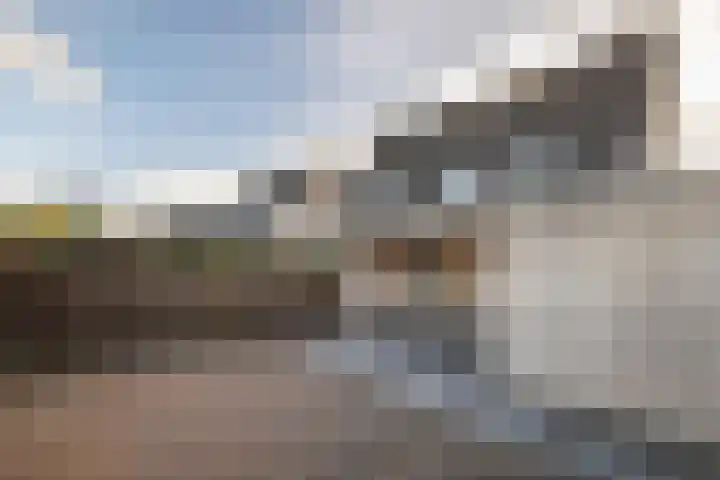 Kamillekamp 38 Eck en Wiel thumbnail 15
