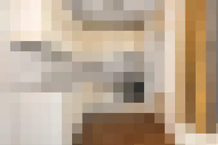 Kamillekamp 38 Eck en Wiel thumbnail 20
