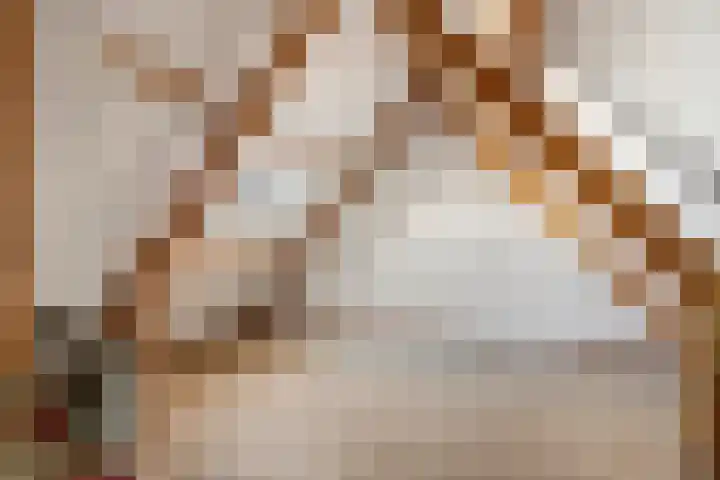 Kamillekamp 38 Eck en Wiel thumbnail 35
