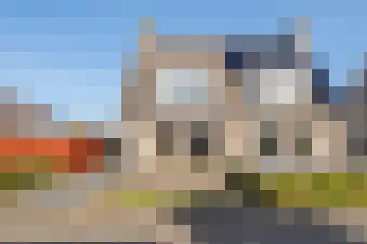 Kamillekamp 38 Eck en Wiel thumbnail 7