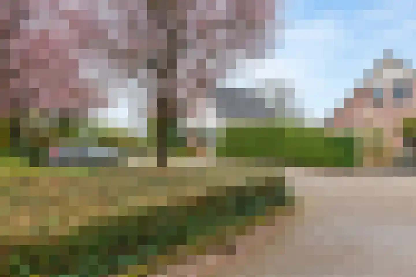 Kamillekamp 47 Eck en Wiel thumbnail 11