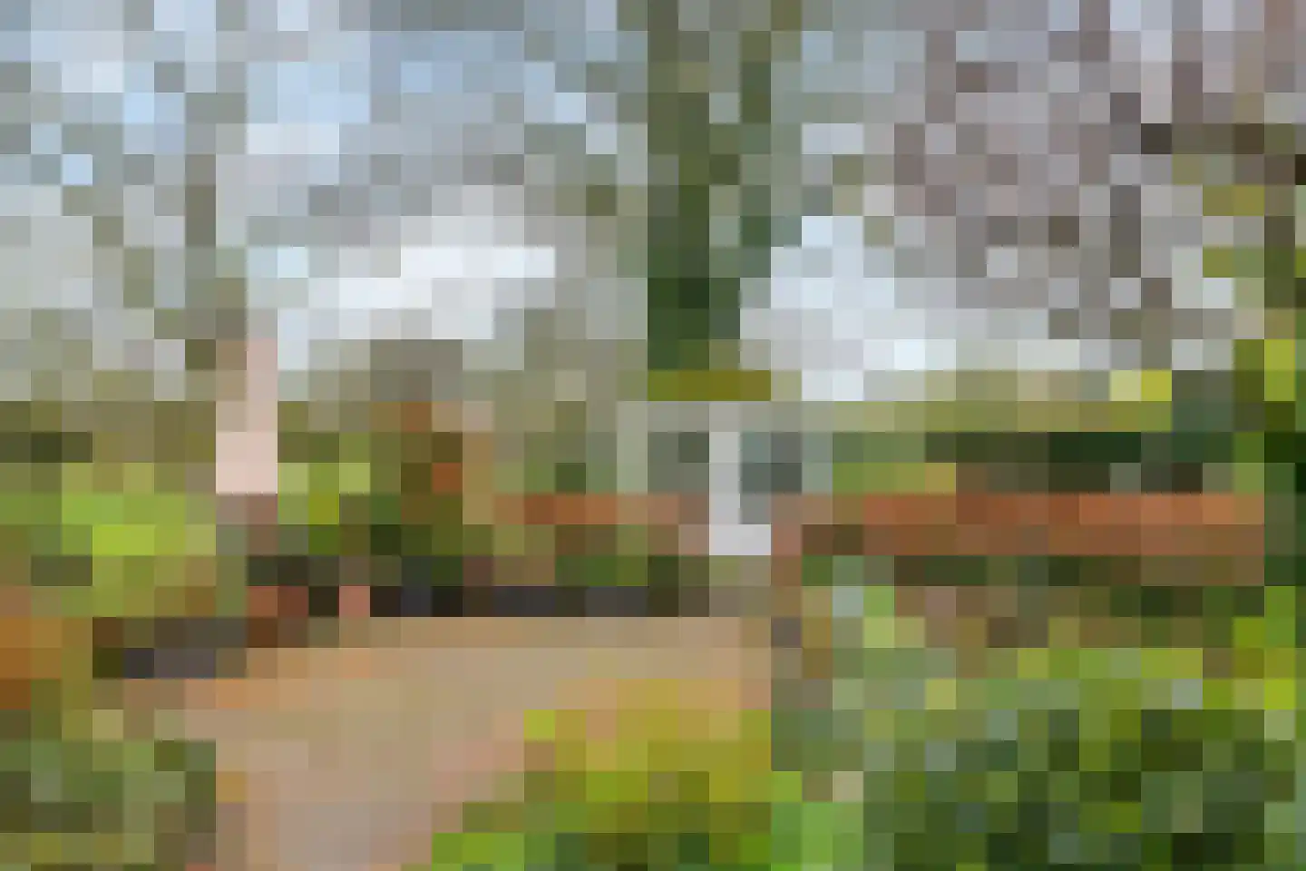 Kamillekamp 47 Eck en Wiel thumbnail 14