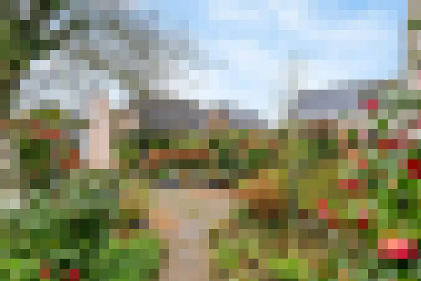 Kamillekamp 47 Eck en Wiel thumbnail 15