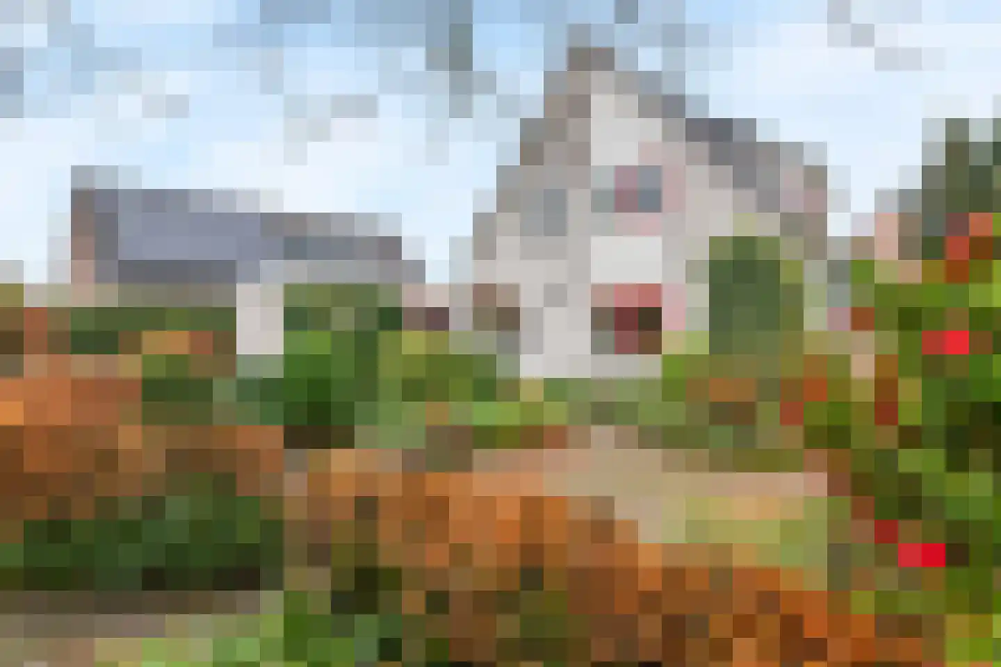 Kamillekamp 47 Eck en Wiel thumbnail 16