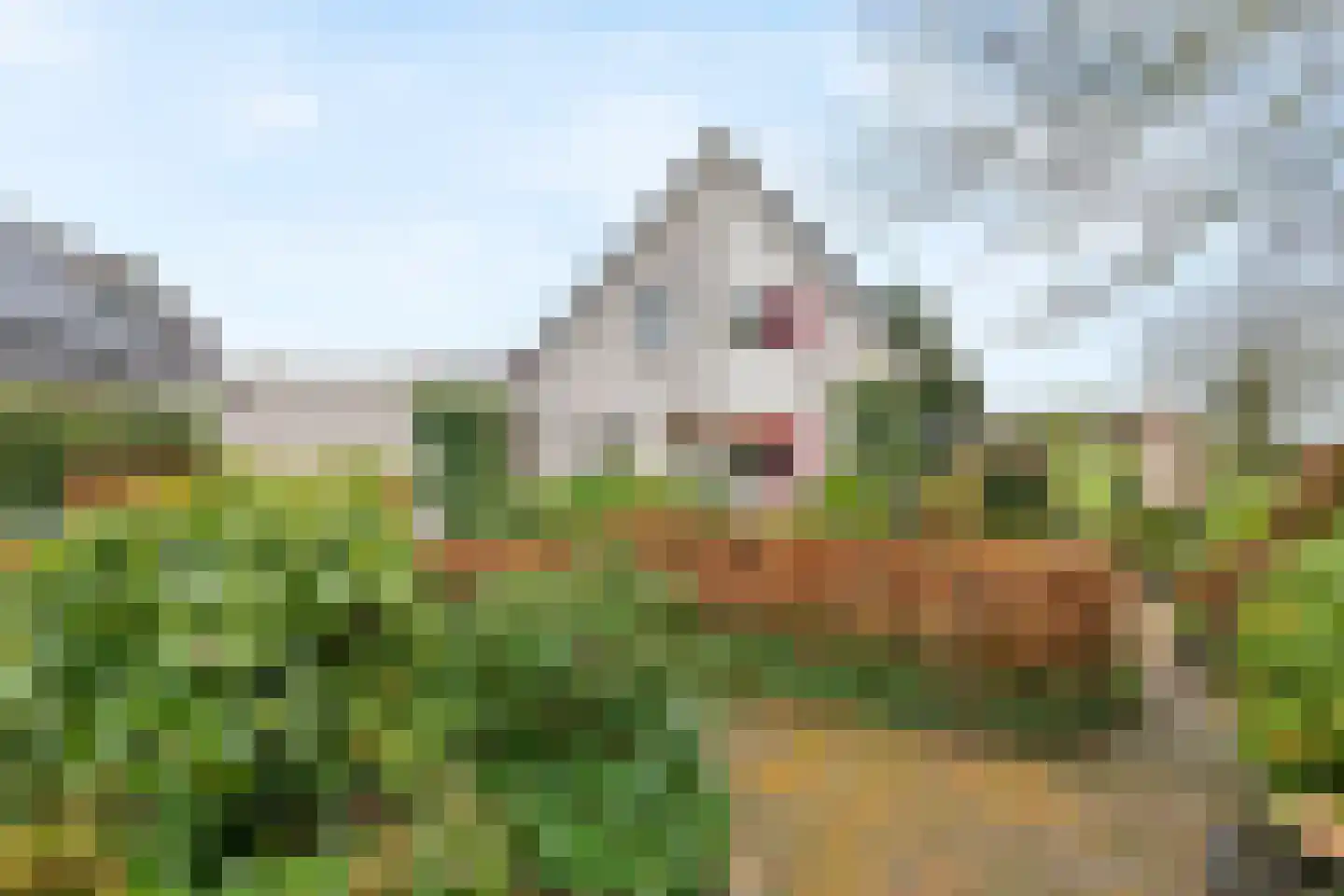 Kamillekamp 47 Eck en Wiel thumbnail 17