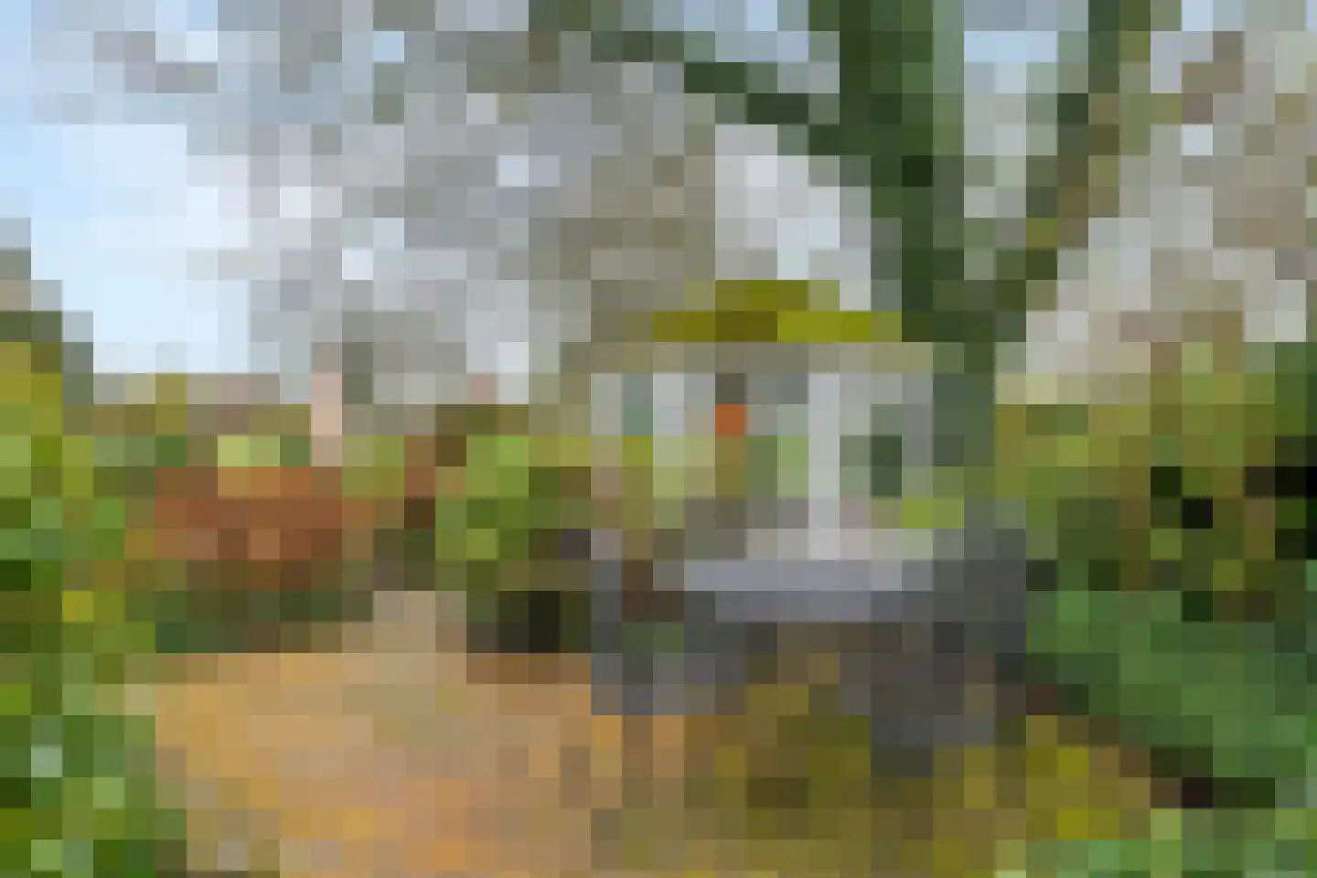 Kamillekamp 47 Eck en Wiel thumbnail 18