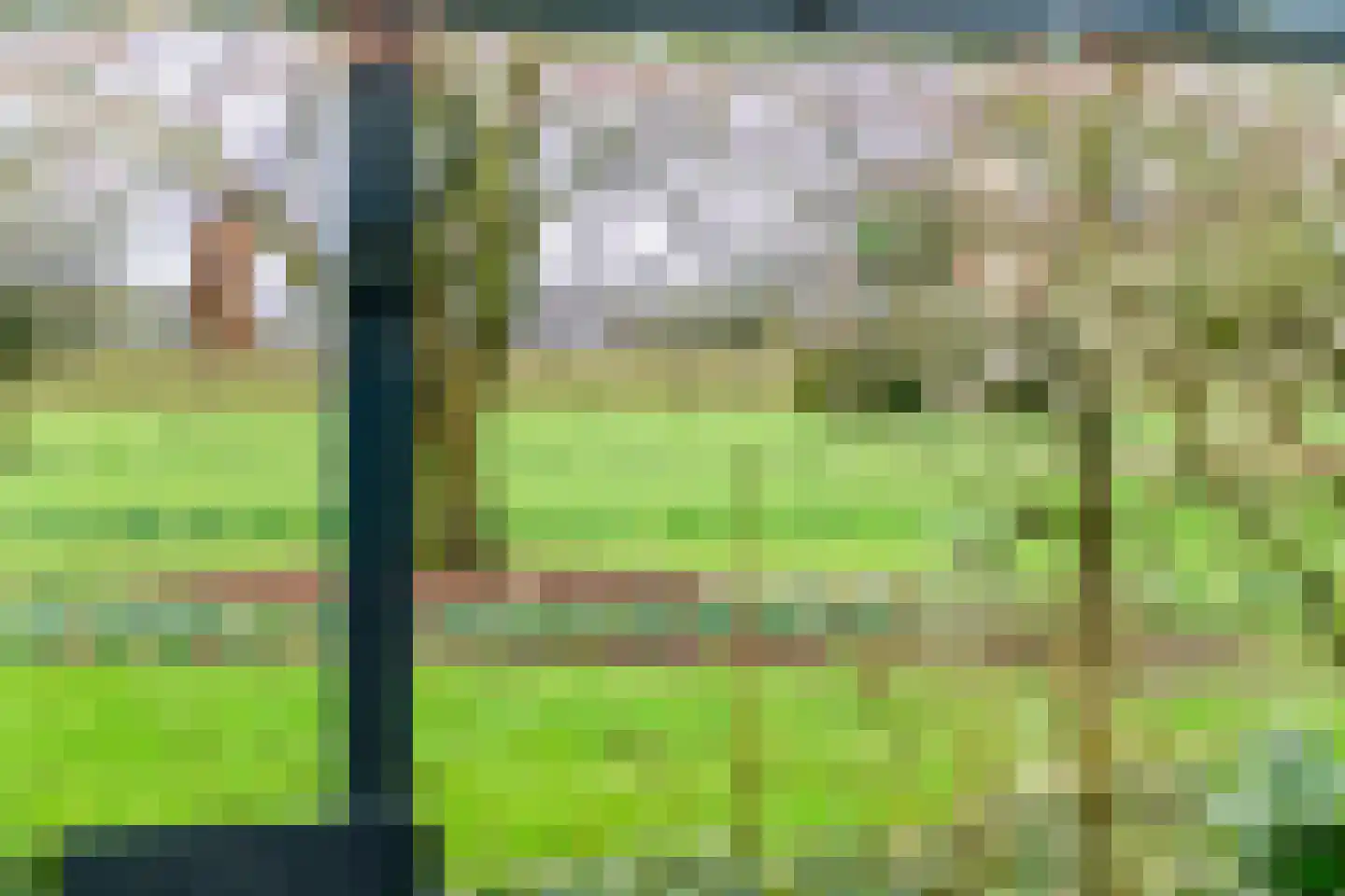 Kamillekamp 47 Eck en Wiel thumbnail 26