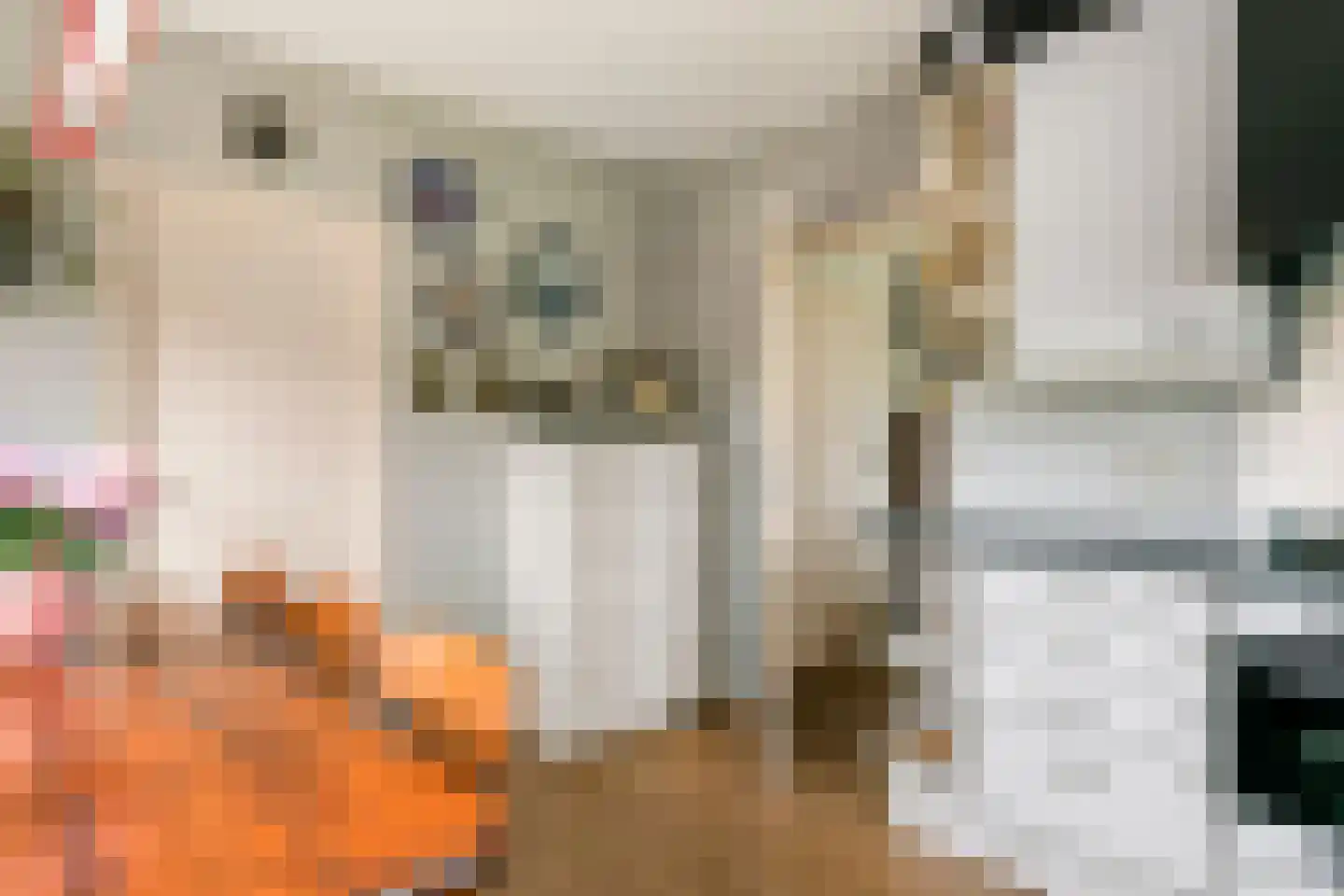 Kamillekamp 47 Eck en Wiel thumbnail 34