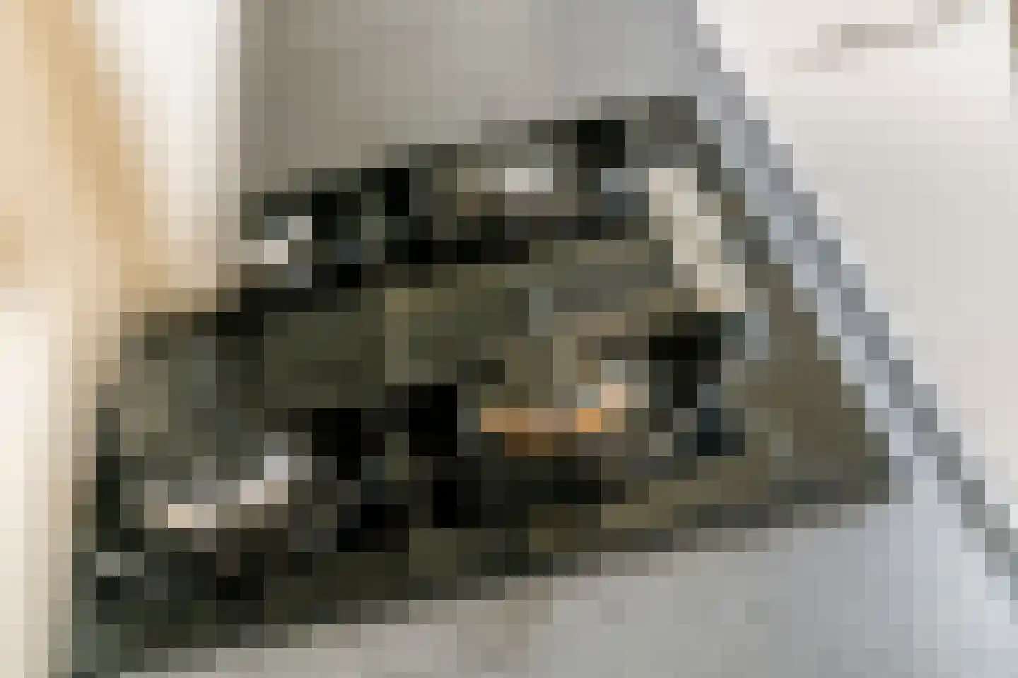 Kamillekamp 47 Eck en Wiel thumbnail 35