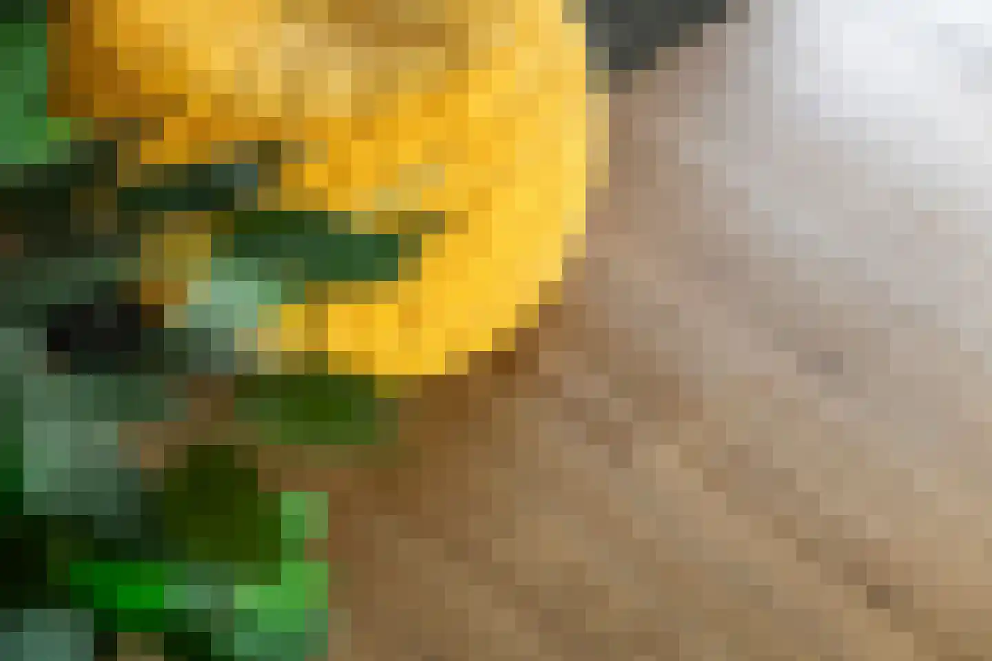 Kamillekamp 47 Eck en Wiel thumbnail 37