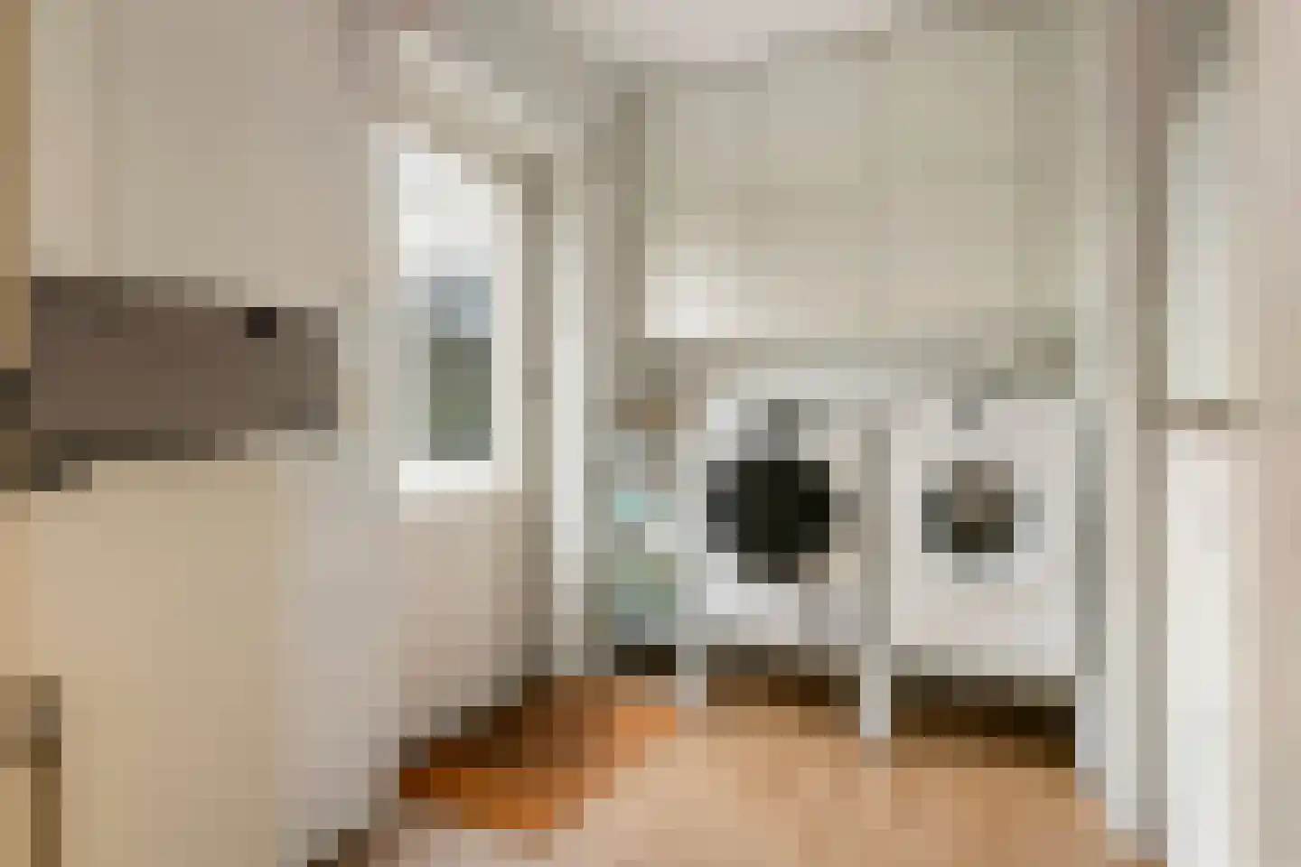 Kamillekamp 47 Eck en Wiel thumbnail 39
