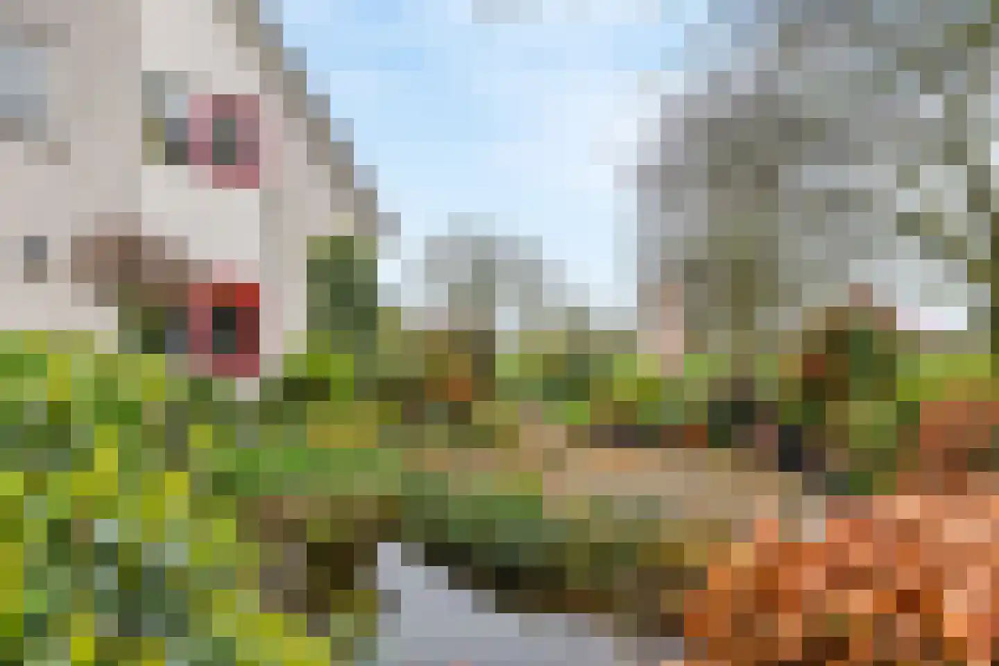 Kamillekamp 47 Eck en Wiel thumbnail 4