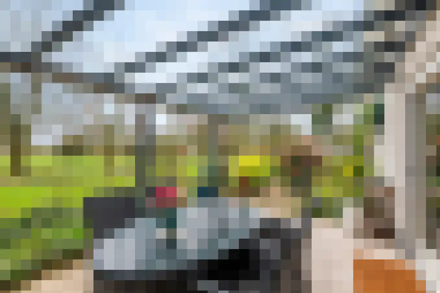 Kamillekamp 47 Eck en Wiel thumbnail 40