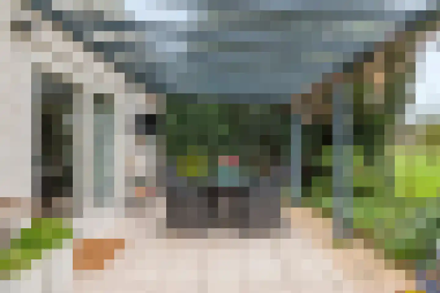 Kamillekamp 47 Eck en Wiel thumbnail 41